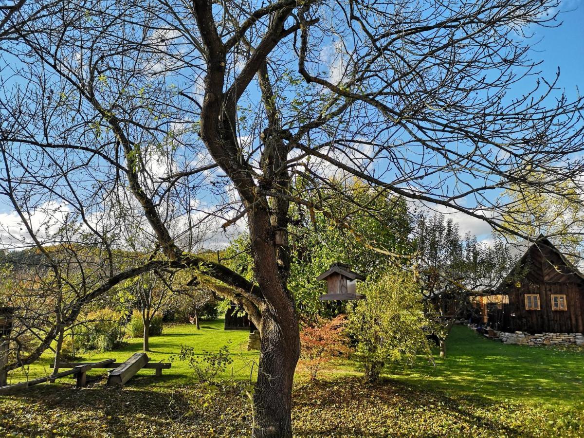 Apartmany Cerveny Dvur Chvalšiny المظهر الخارجي الصورة